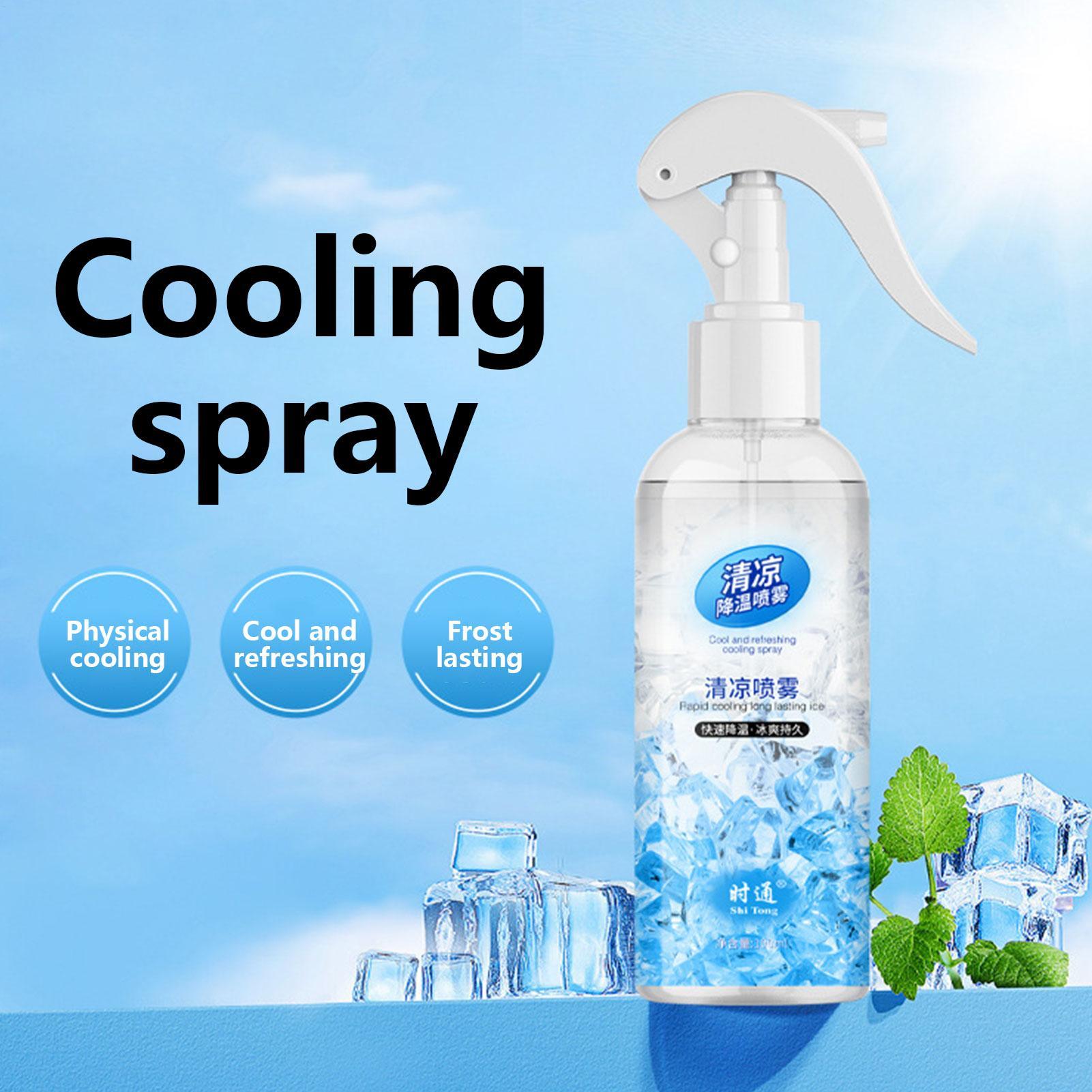 100ml冷却ミストスプレー 顔と体に使える心地よい保護スプ - Heat Protectant Spray のレビューと価格